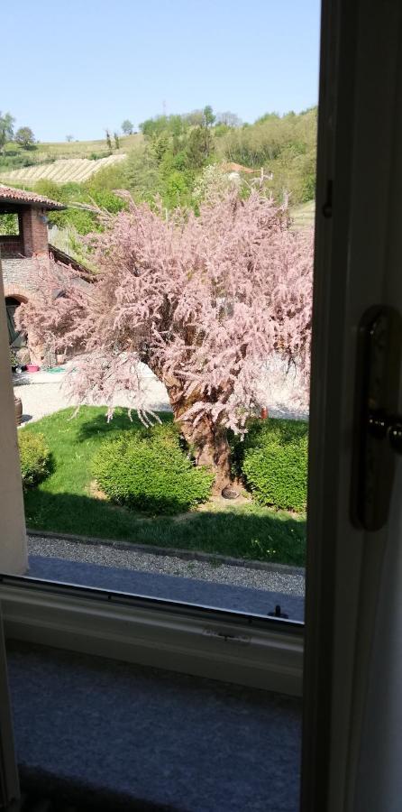 La Giribaldina Winery & Farmhouse 卡拉曼德拉纳 外观 照片