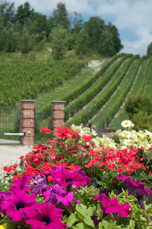 La Giribaldina Winery & Farmhouse 卡拉曼德拉纳 外观 照片
